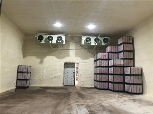 江南在线登录_江南(中国)苹果冷库安装案例
